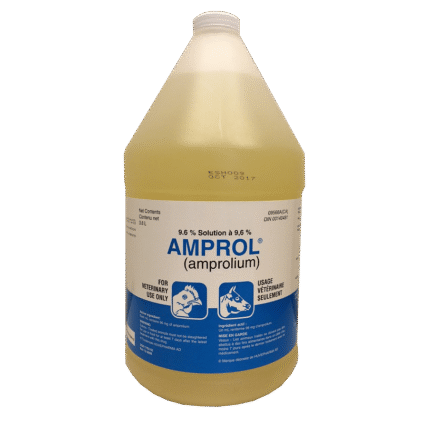 Amprolium 9.6% Solution 1 Gallon
