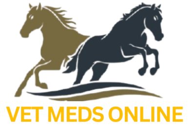 OKAY-removebg-preview