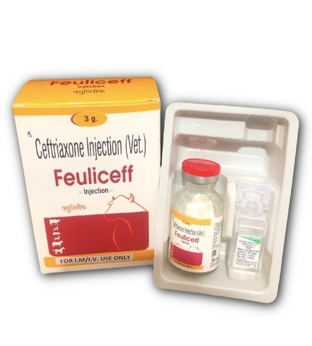 Feuliceff-Injection.jpg