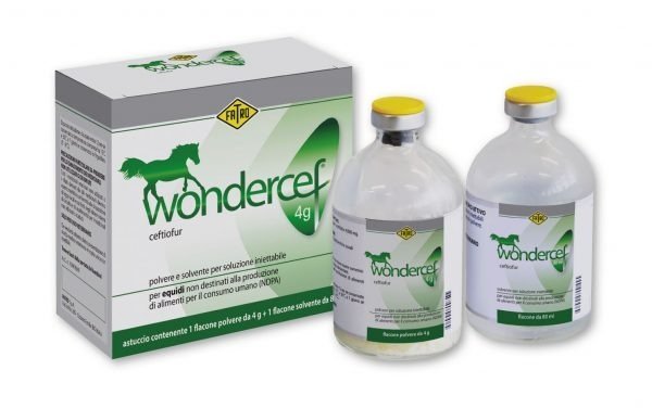 Buy Wondercef Buy Wondercef