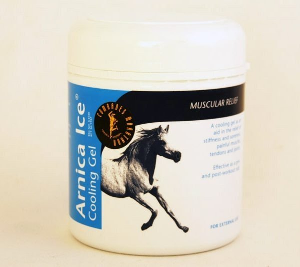 Buy Arnica Ice Gel Buy Arnica Ice Gel