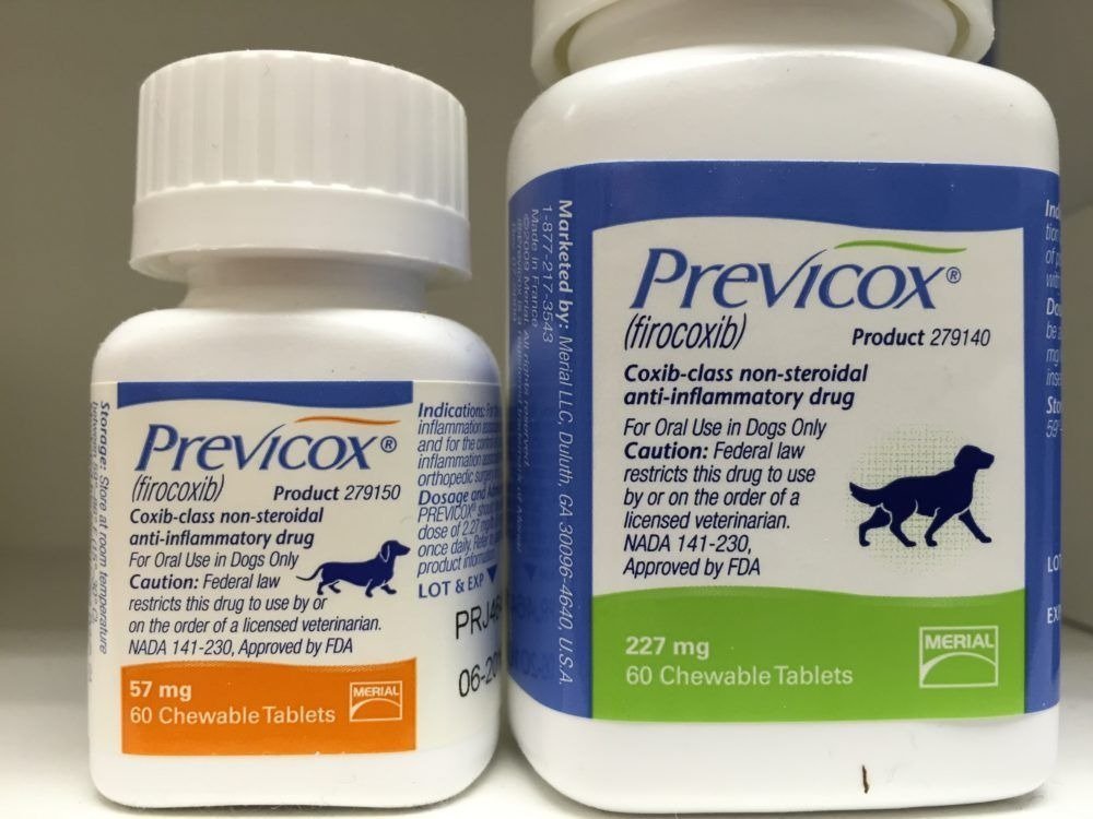 Buy Previcox Buy Previcox