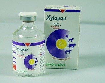 Buy Xylapan